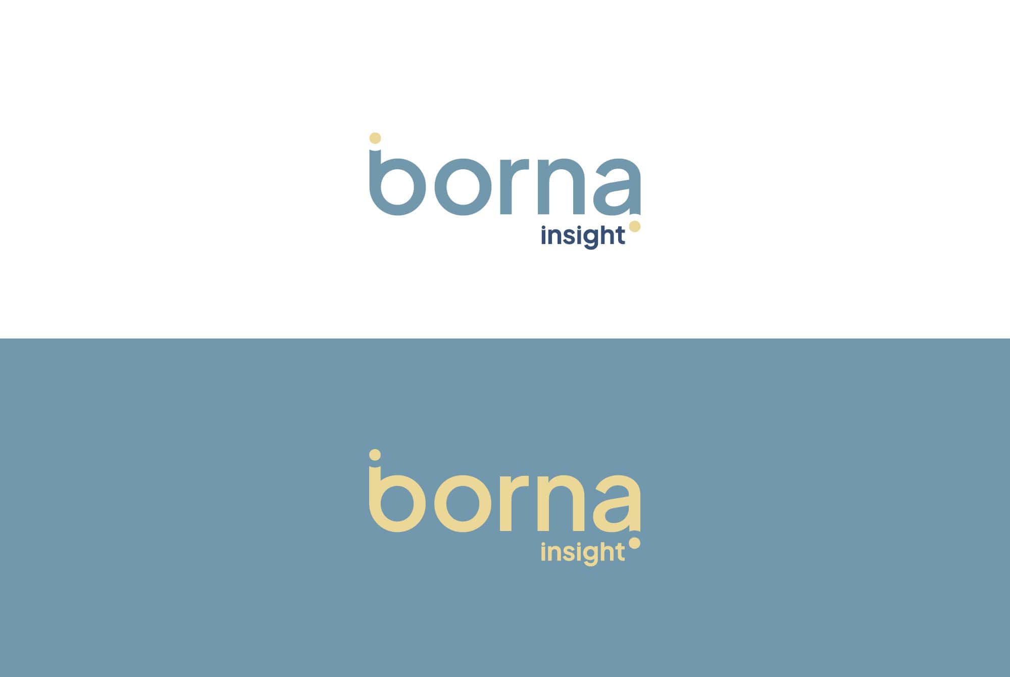 Brand Identity for Borna Insight